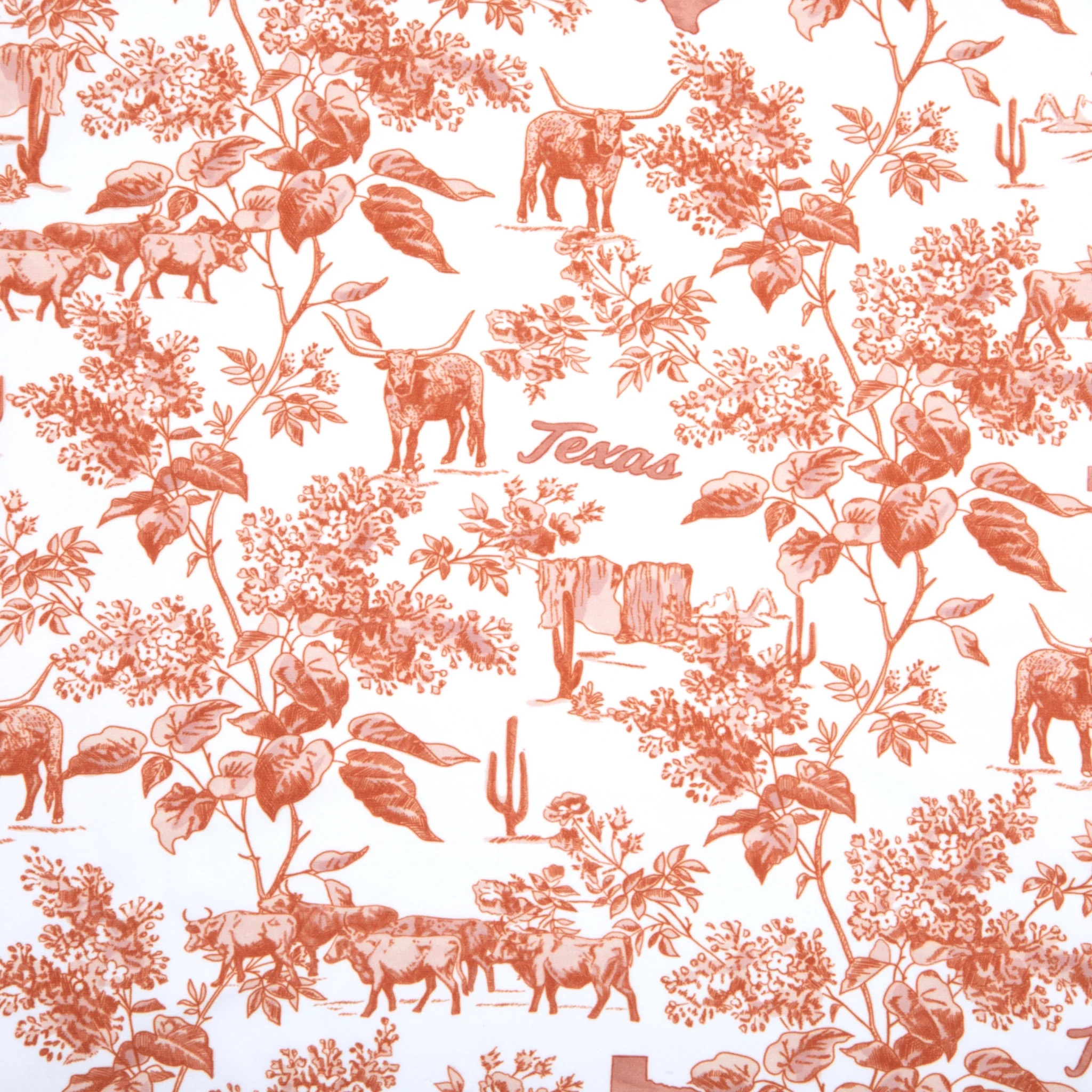 Eliza Tailgate Toile 3/4 Sleeve Blouse - Image 3
