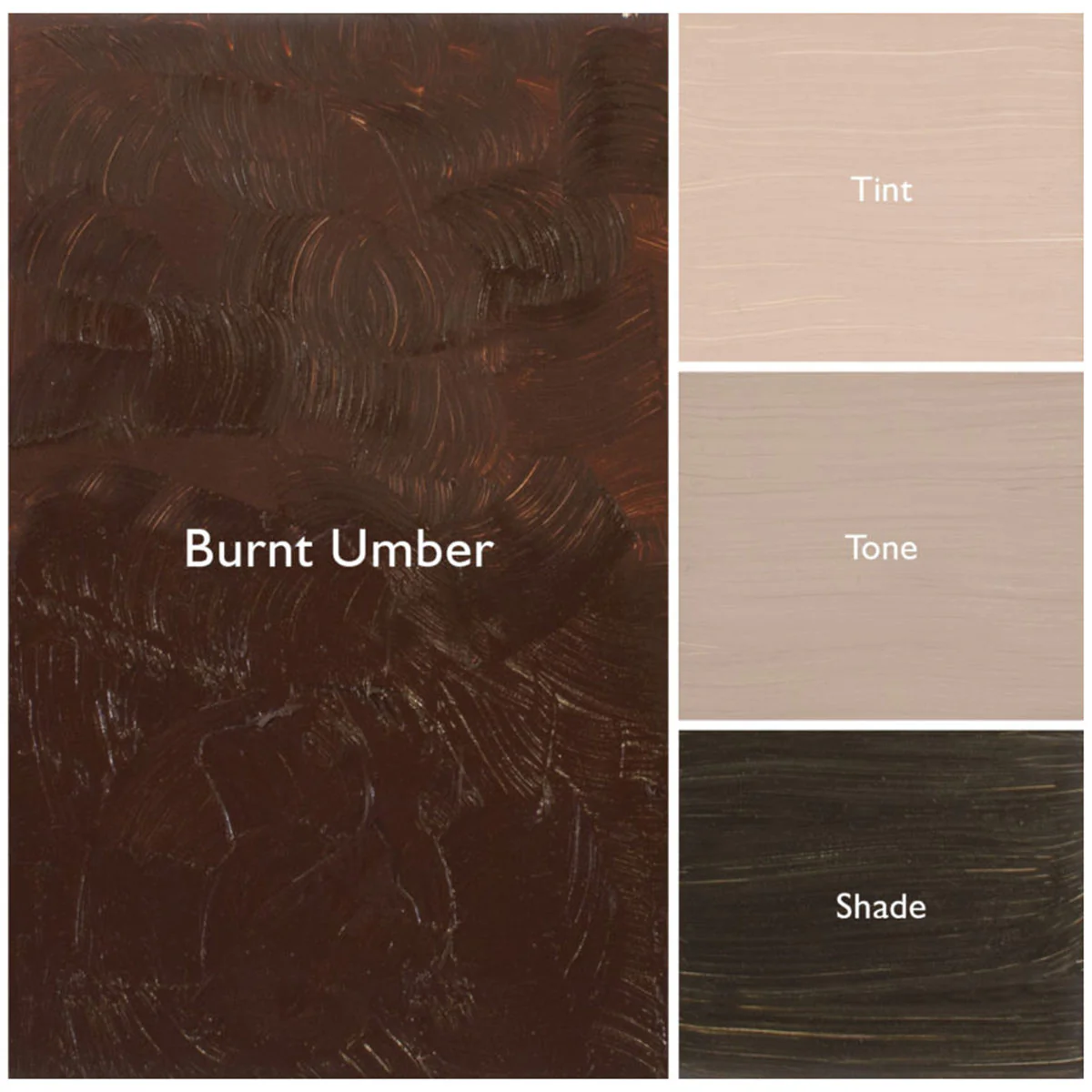 Gamblin 1980 Oil Paint Burnt Umber - 37 ml - Image 2